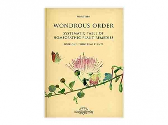 Wondrous Order - Michal Yakir