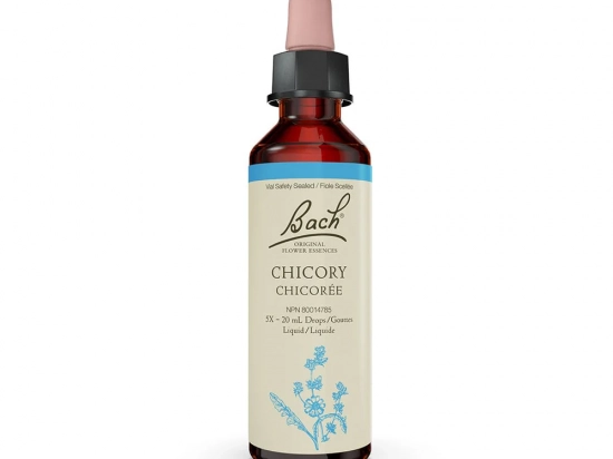Bach flower remedy - Chicory