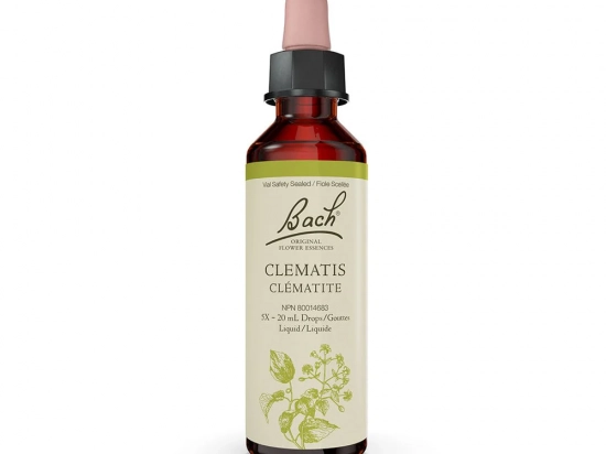 Bach flower remedy - Clematis