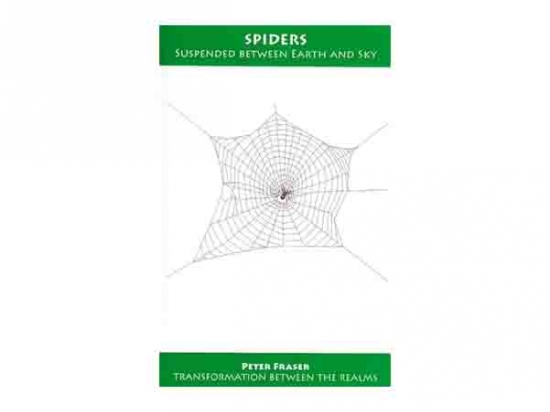 Spiders - Suspended Between Earth and Sky - Peter Fraser