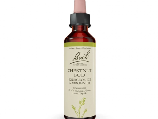 Bach flower remedy - Chestnut Bud