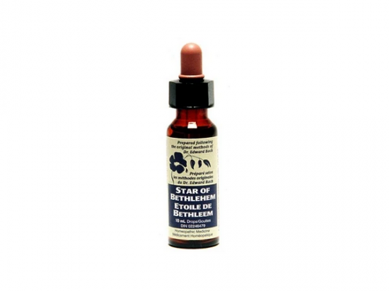 Star of Bethlehem English Wildflower Remedy (Bach Flower Remedy) - 10mL