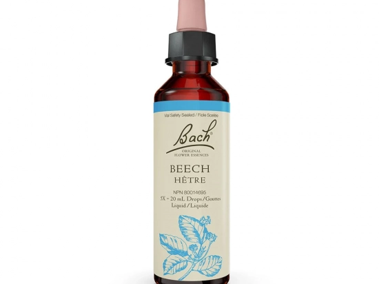 Bach flower remedy - Beech