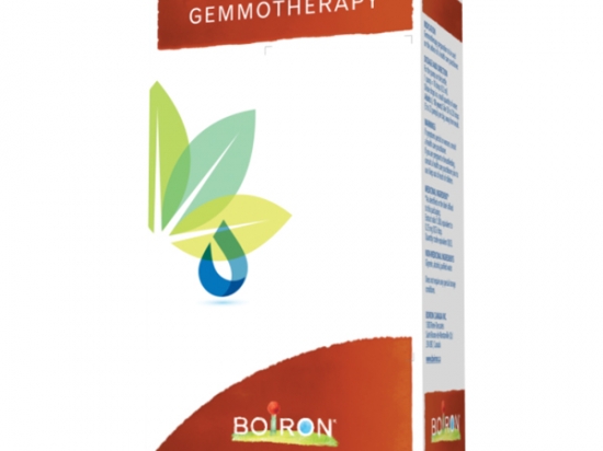 Quercus Pedonculata Gemmotherapy 1DH