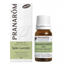 Spike Lavender 10ml