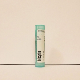 Colocynthis - Boiron