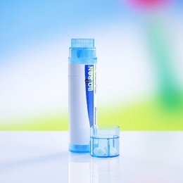 Cicadermine Ointment 18g - Boiron