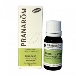 Cornmint 10ml