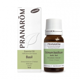 Basil 10ml
