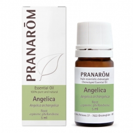 Angelica 5ml
