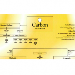 Carbon Chart - Roger Morrison, 2006